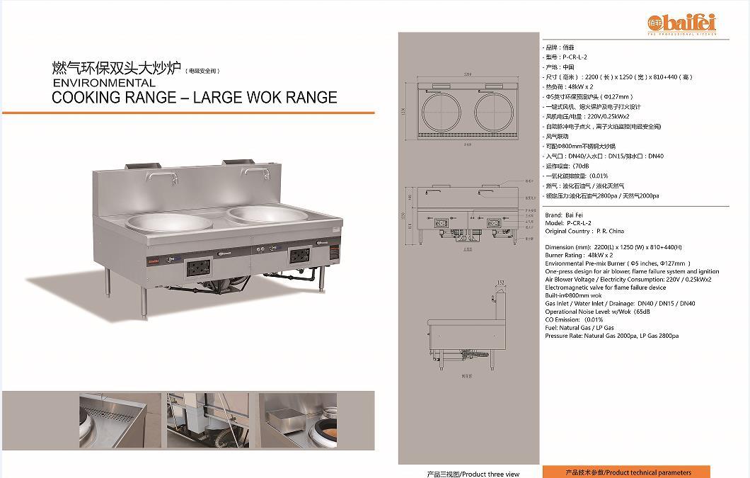 佰菲燃气环保双头大锅炉P-CR-L-2